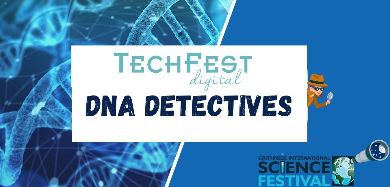 Website format DNA Detectives Draft KC