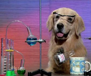 science dog